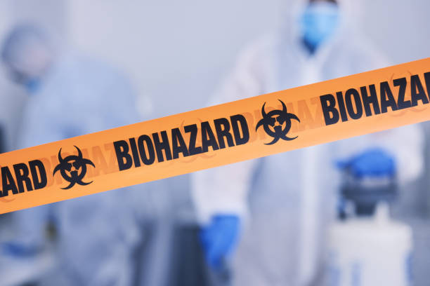 Professional Hoarding Cleanup technician working in Linden, AZ